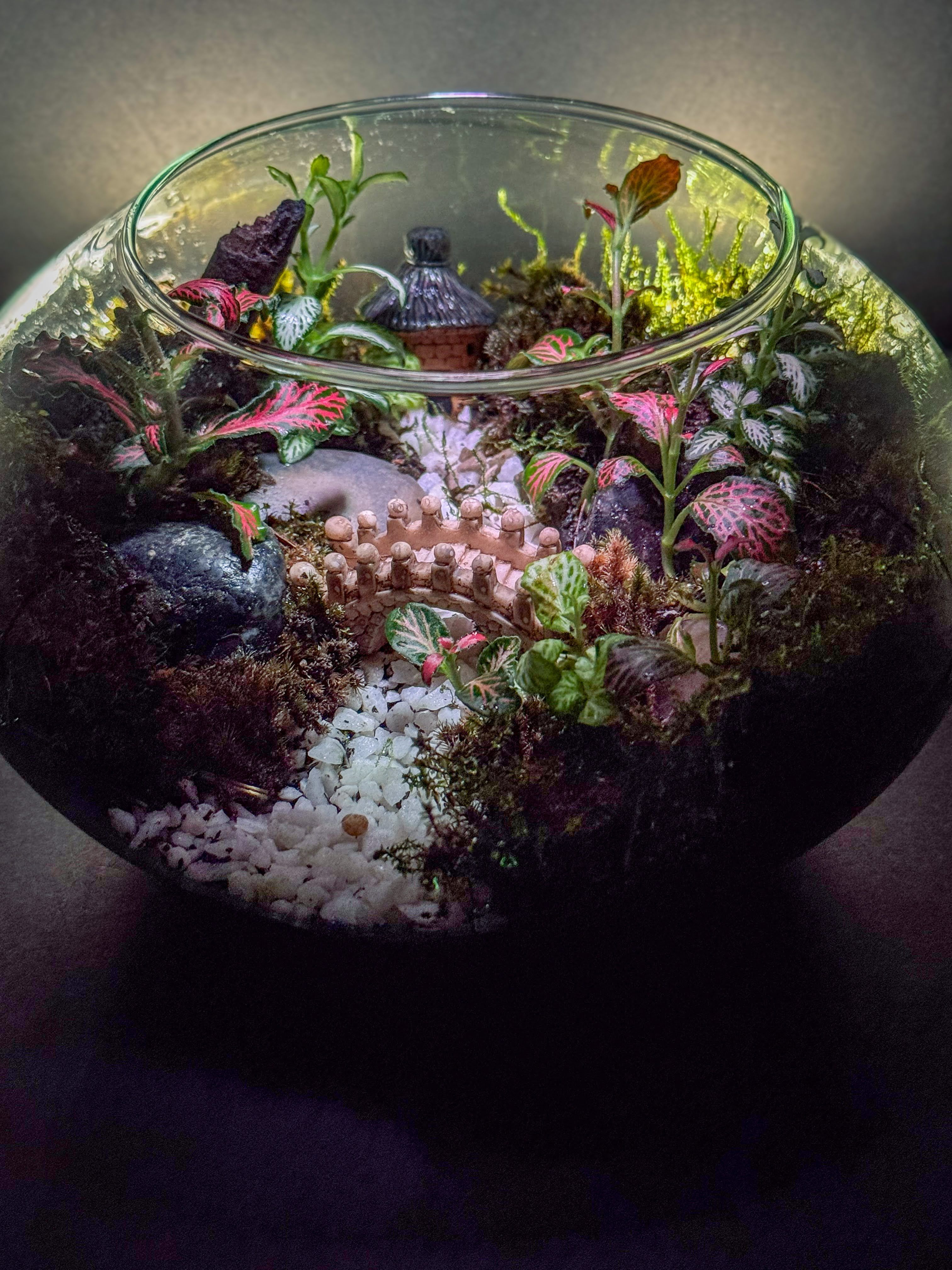 Medium Fish Bowl